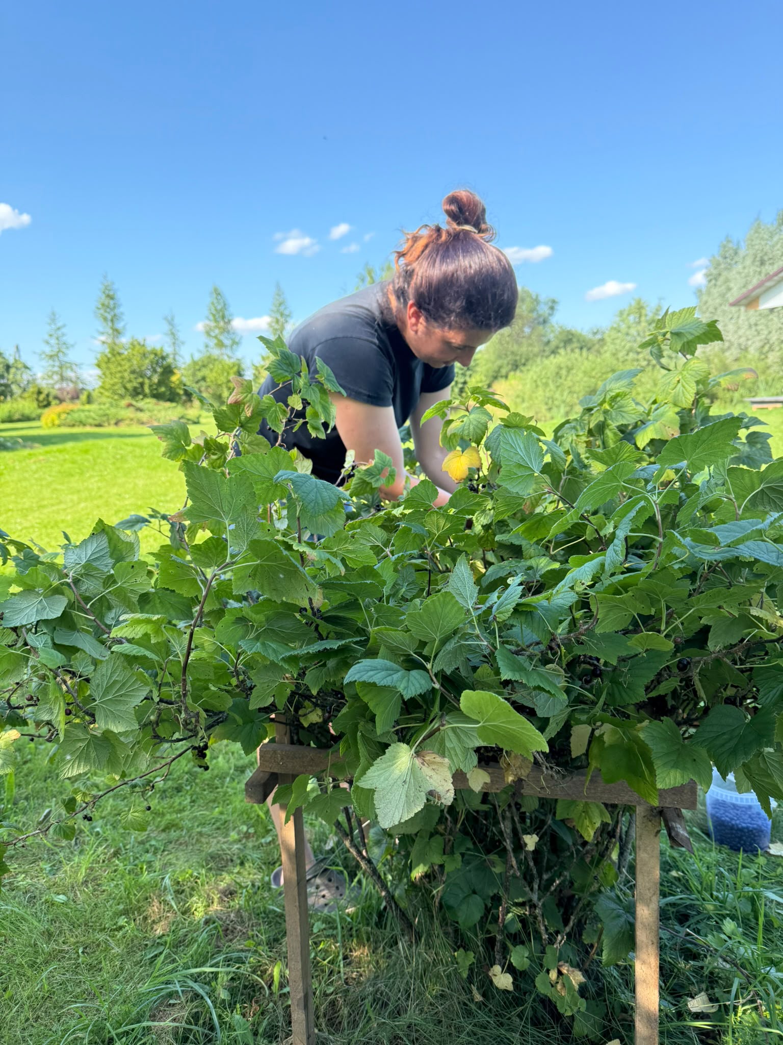 Rosina gardening outdoors